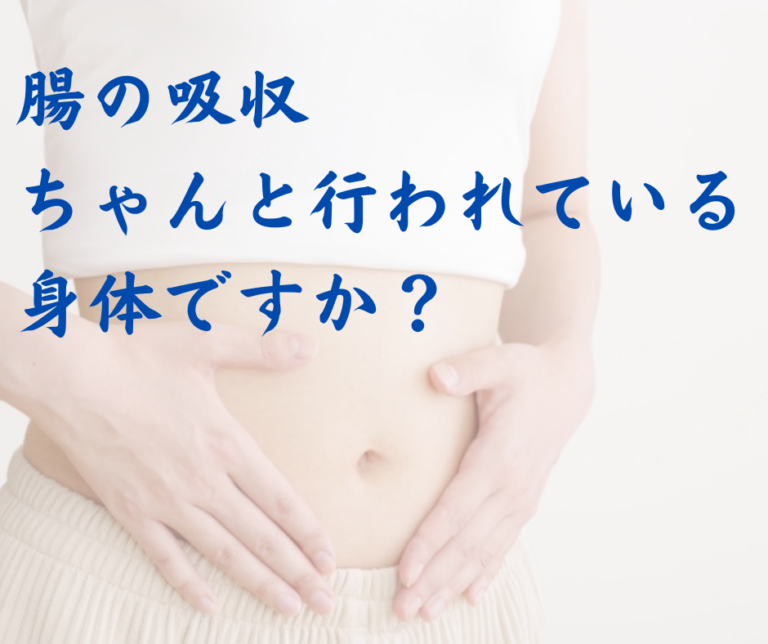 腸の吸収がちゃんと行われている身体ですか？