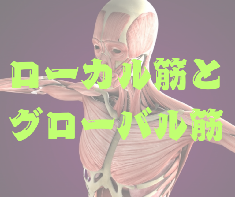 ローカル筋とグローバル筋