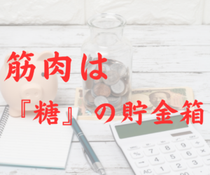 筋肉は『糖』の貯金箱