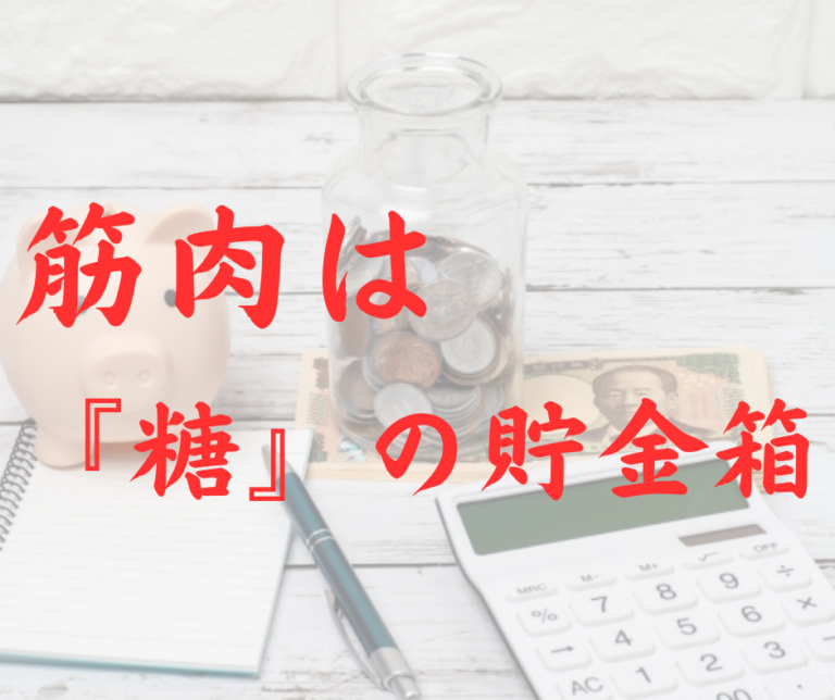 筋肉は『糖』の貯金箱